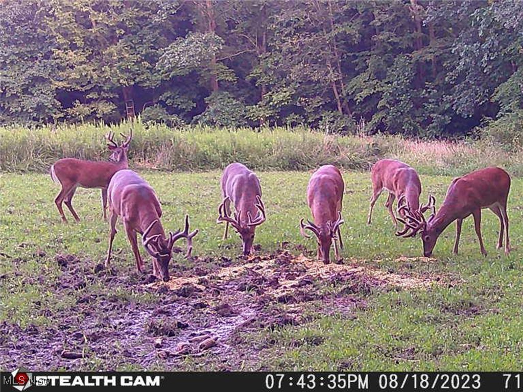 6066 County Road 68, Millersburg, Ohio image 21