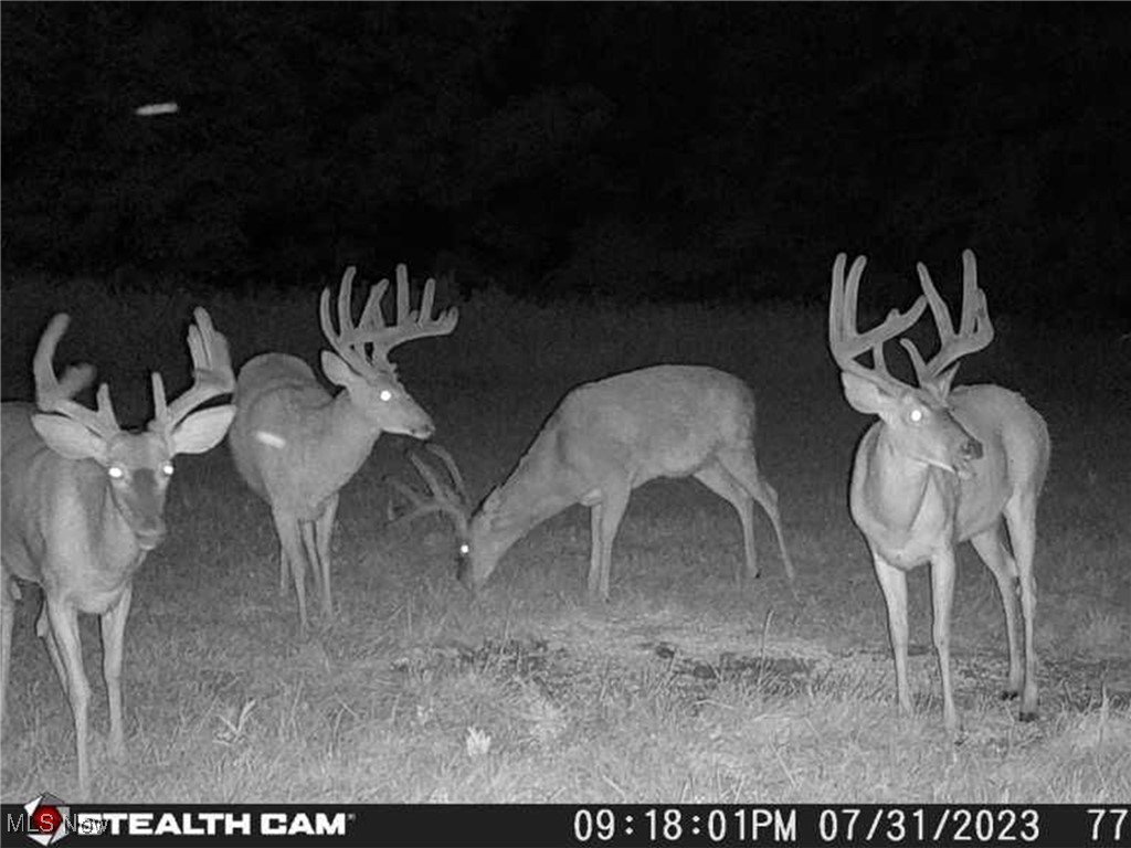 6066 County Road 68, Millersburg, Ohio image 25