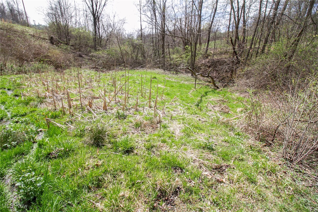 11 Acres Whiskey Run, Quaker City, Ohio image 21