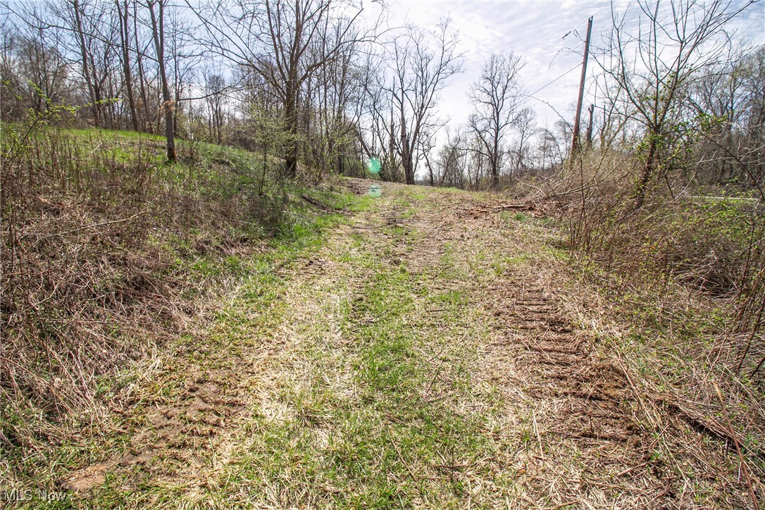 11 Acres Whiskey Run, Quaker City, Ohio image 10