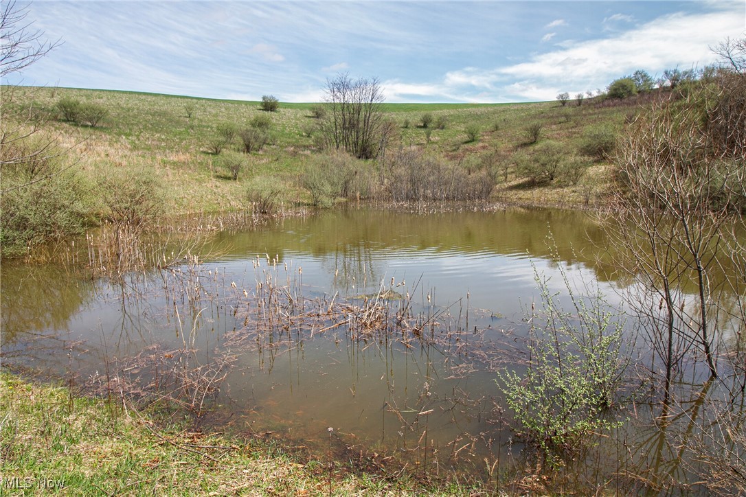 11 Acres Whiskey Run, Quaker City, Ohio image 18