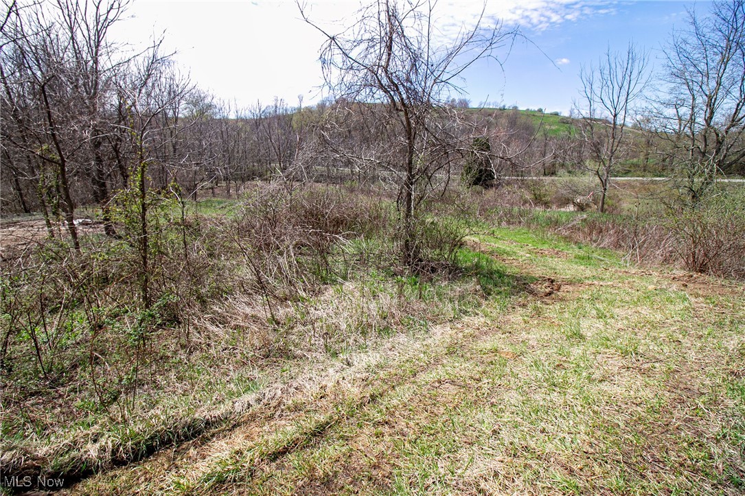 11 Acres Whiskey Run, Quaker City, Ohio image 28