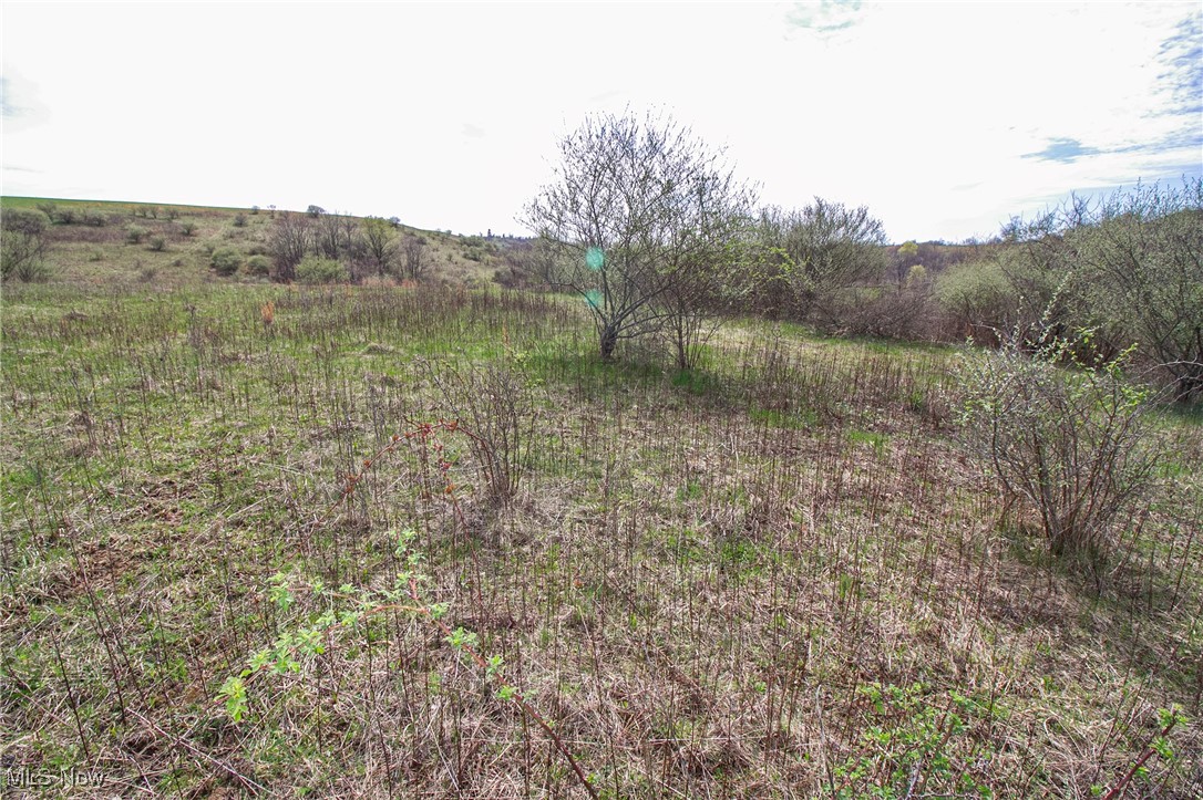 11 Acres Whiskey Run, Quaker City, Ohio image 34