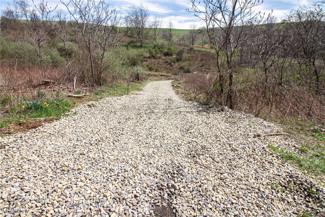11 Acres Whiskey Run, Quaker City, Ohio image 8