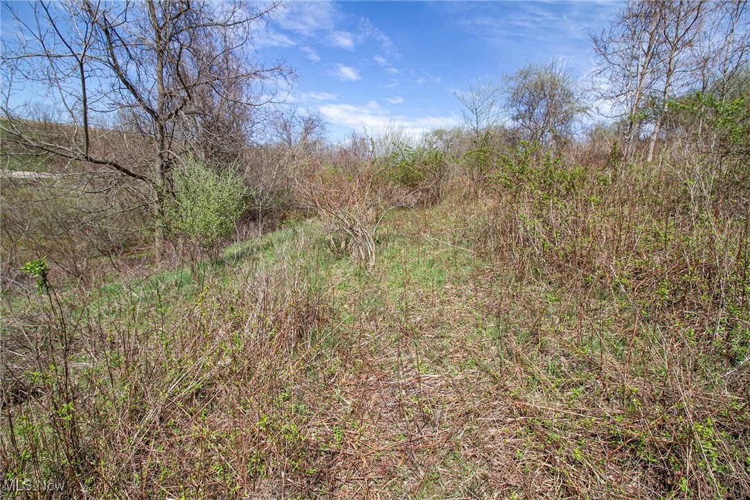 11 Acres Whiskey Run, Quaker City, Ohio image 29