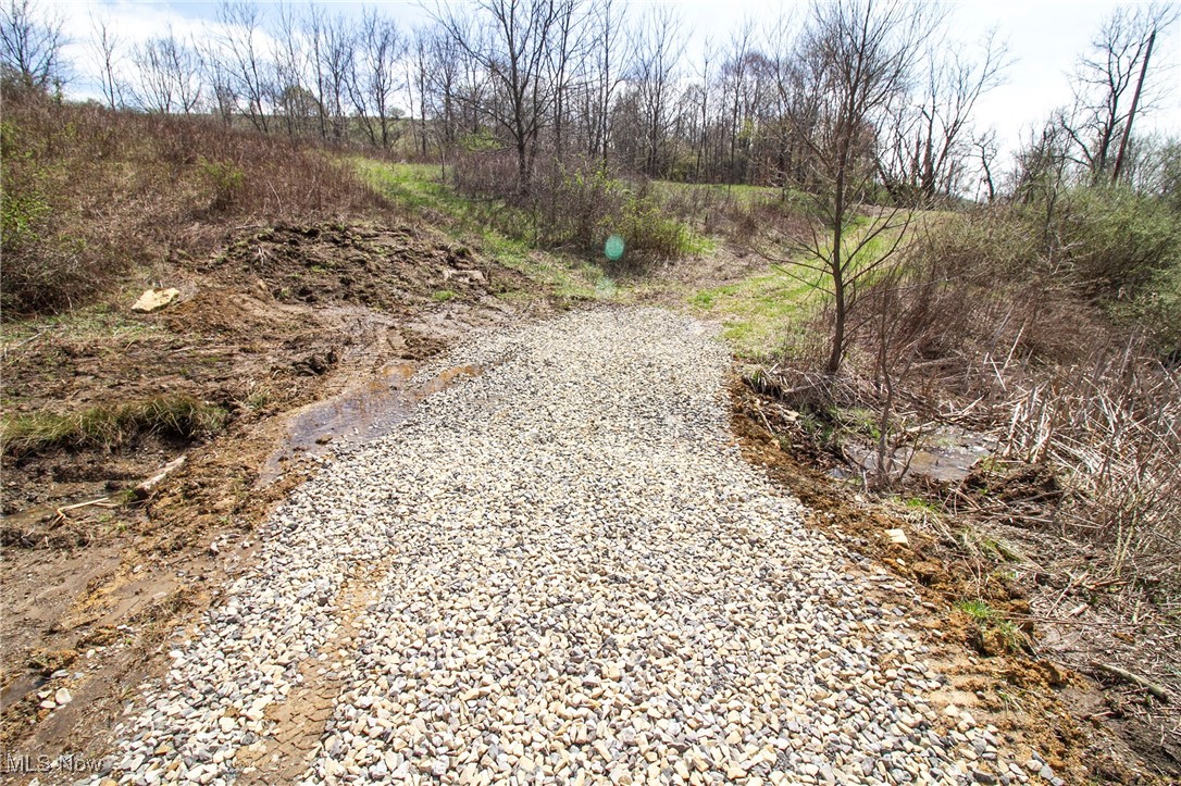 11 Acres Whiskey Run, Quaker City, Ohio image 9
