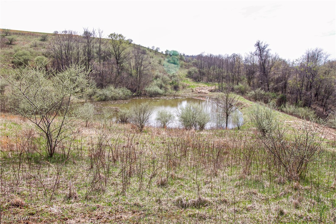 11 Acres Whiskey Run, Quaker City, Ohio image 31