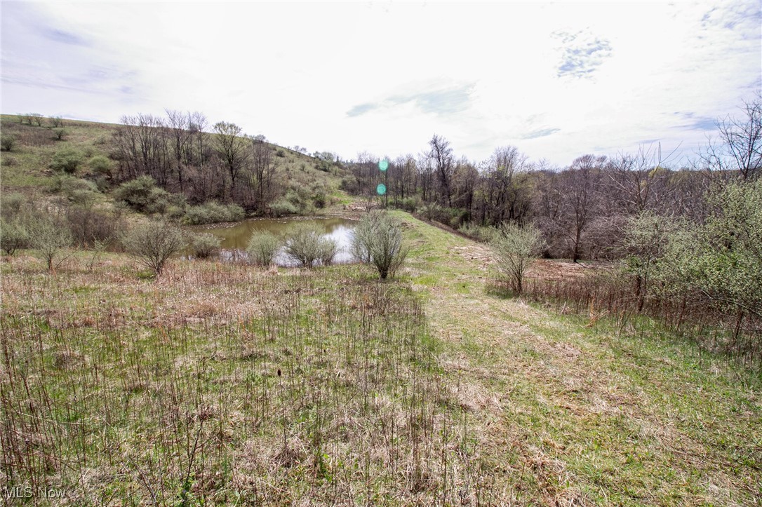 11 Acres Whiskey Run, Quaker City, Ohio image 32