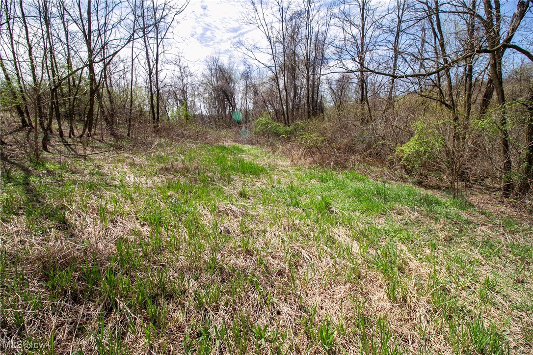 11 Acres Whiskey Run, Quaker City, Ohio image 24