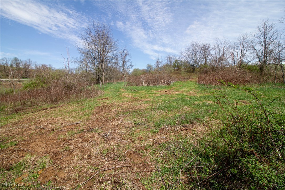 11 Acres Whiskey Run, Quaker City, Ohio image 17