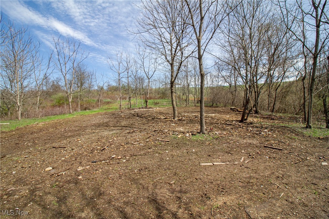 11 Acres Whiskey Run, Quaker City, Ohio image 15