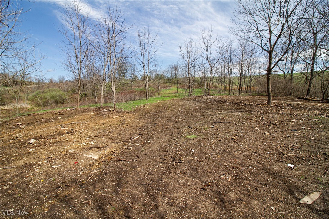 11 Acres Whiskey Run, Quaker City, Ohio image 13