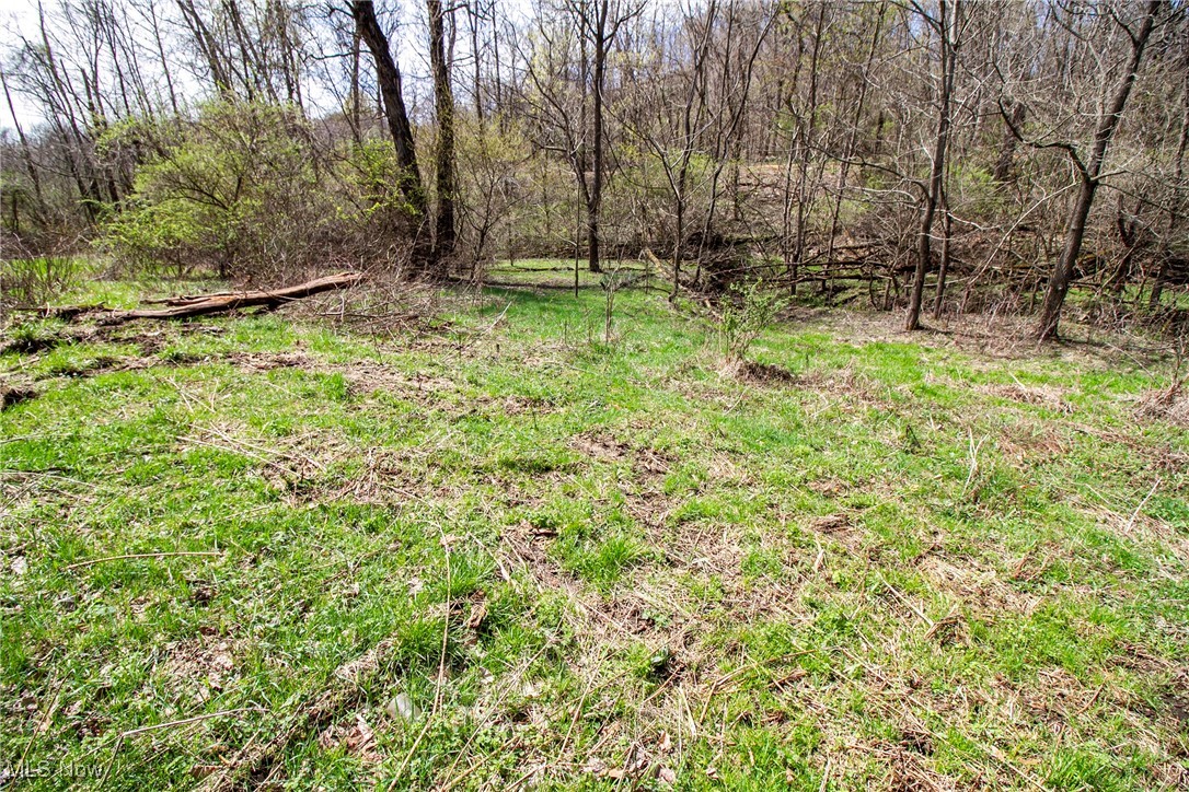 11 Acres Whiskey Run, Quaker City, Ohio image 20