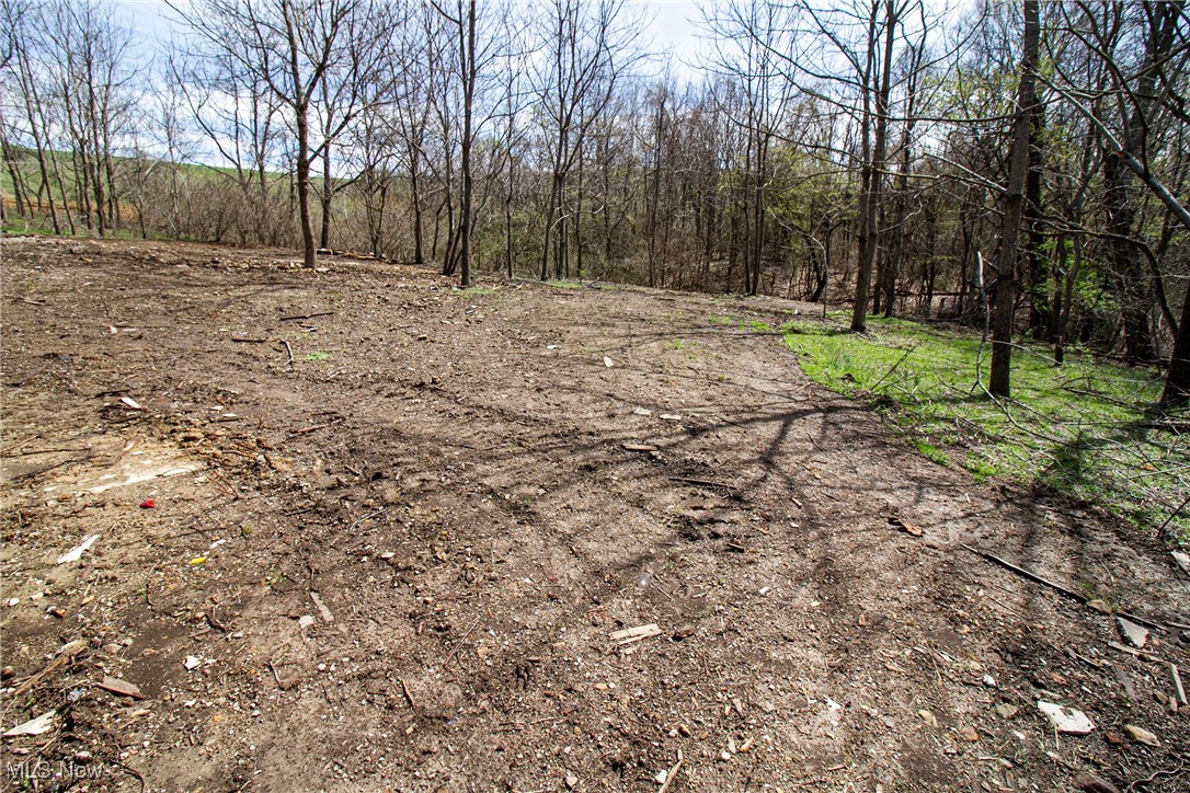 11 Acres Whiskey Run, Quaker City, Ohio image 12