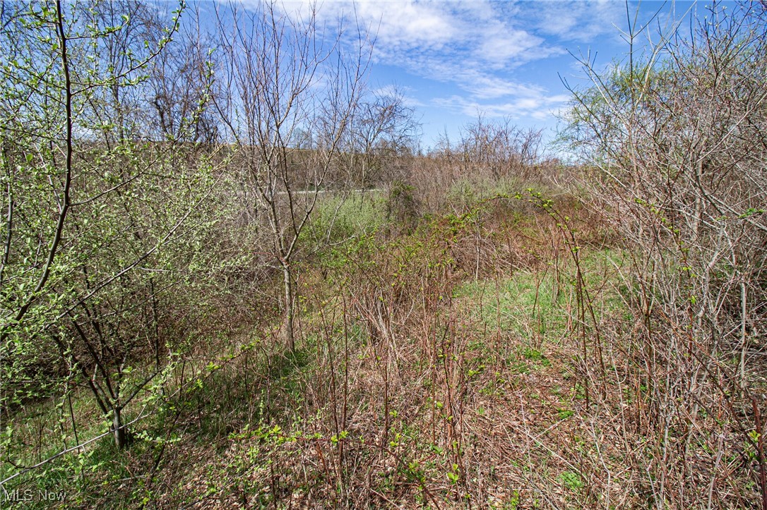 11 Acres Whiskey Run, Quaker City, Ohio image 30