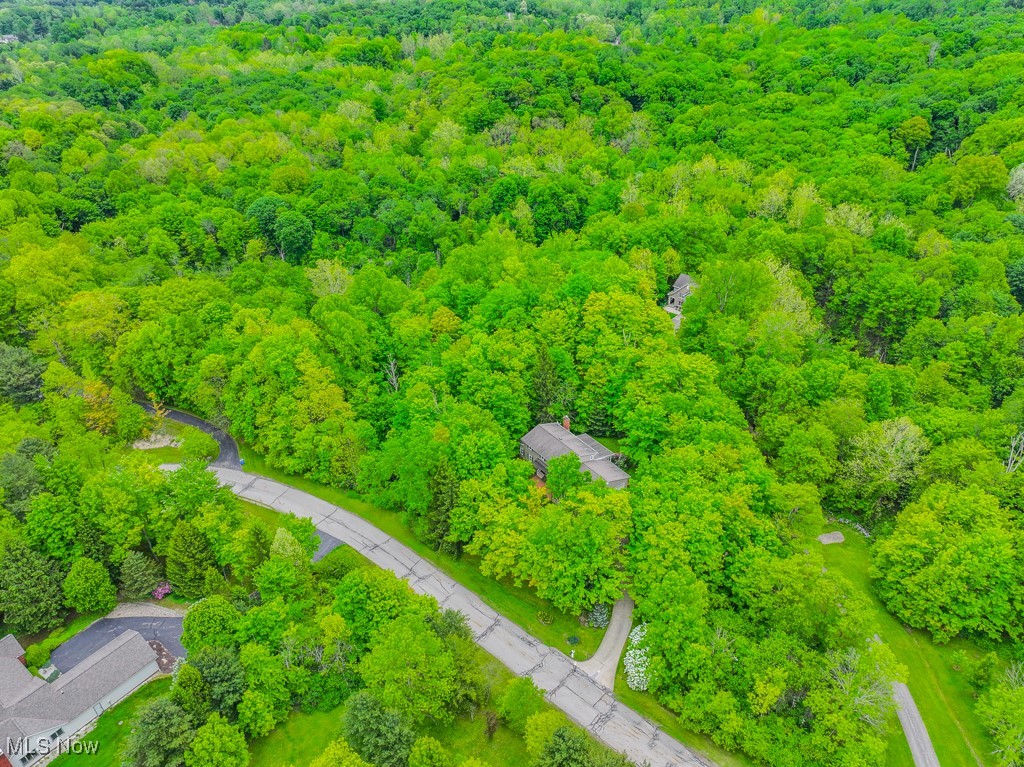 11545 Blackberry Lane, Chesterland, Ohio image 46