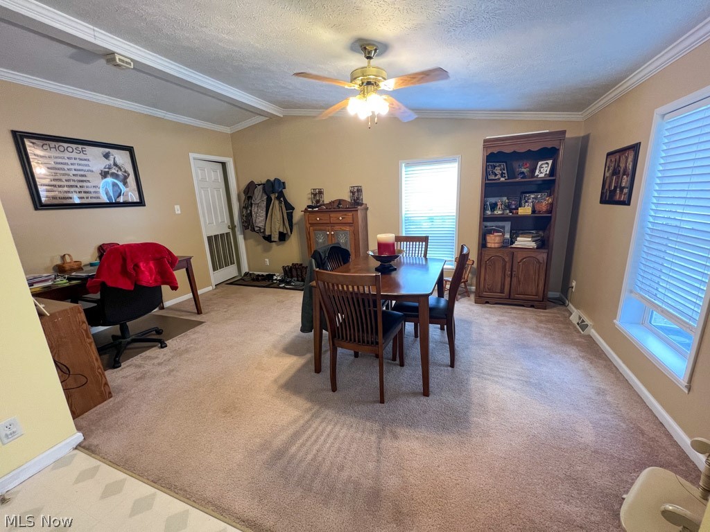 Sturbridge Village - Residential