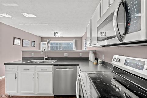 Tiny photo for 7314 Forest Cove Lane #B, Northfield, OH 44067 (MLS # 5188068)