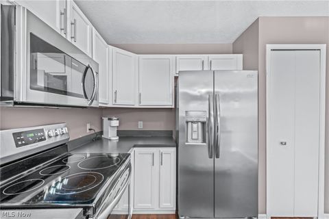 Tiny photo for 7314 Forest Cove Lane #B, Northfield, OH 44067 (MLS # 5188068)