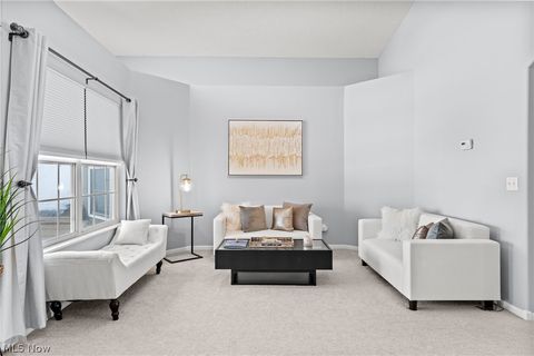 Tiny photo for 7314 Forest Cove Lane #B, Northfield, OH 44067 (MLS # 5188068)