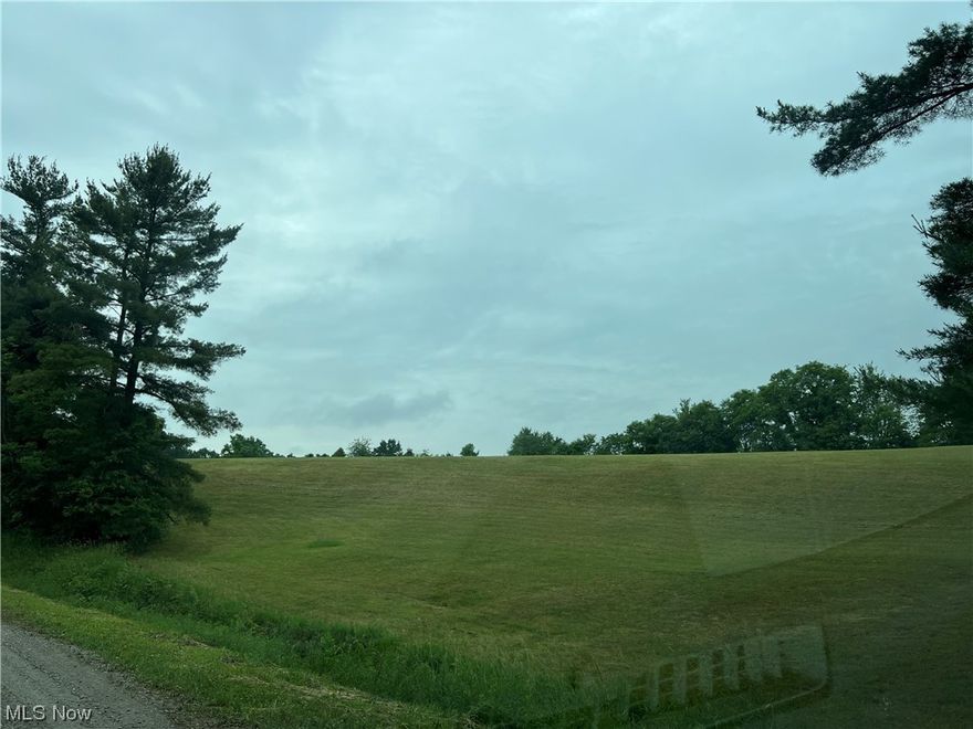 Great building site in the country with a beautiful sunset view and potential to build a pond with 2 springs on the property (not developed yet),  The new survey has been completed and is 13.7 acres and has about 11 1/2 acres of tillable or pasture land and 1/4-1/2 acre woods.   No county water at the property but there's county water about 1/2 mile away on SR. 313 the buyer can check into if interested.    Electric available, telephone available, no sewer.   Only restrictions are no pit bull or 1/2 pit bull dogs and acreage to not be separated.  And Seller to retain any and all mineral and oil and gas rights.    Seller had the back hay field tilled and plowed and seeded with timothy, orchard and clover grass and limed and fertilized and gets approx. 200-300 sq. bales of hay depending on size.