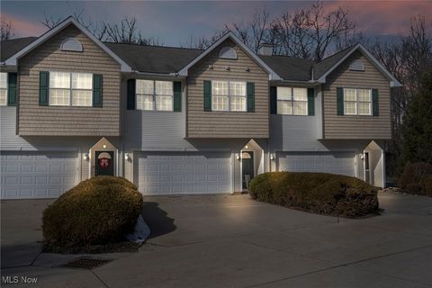 27 Elm Creek Way Aurora OH 44202