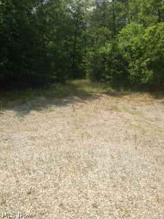 Olive Green & Elk Run Allotmen - Land