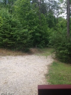 Olive Green & Elk Run Allotmen - Land