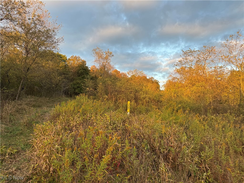 Amsterdam, Ohio 43903, United States, ,Land,Active,227654