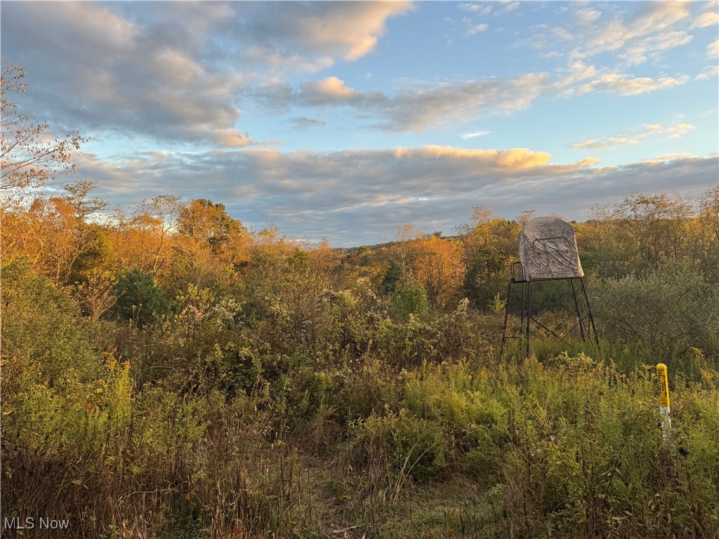Amsterdam, Ohio 43903, United States, ,Land,Active,227654