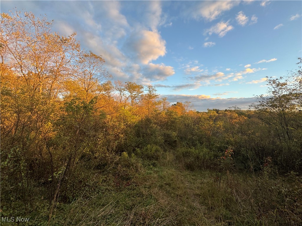 Amsterdam, Ohio 43903, United States, ,Land,Active,227654