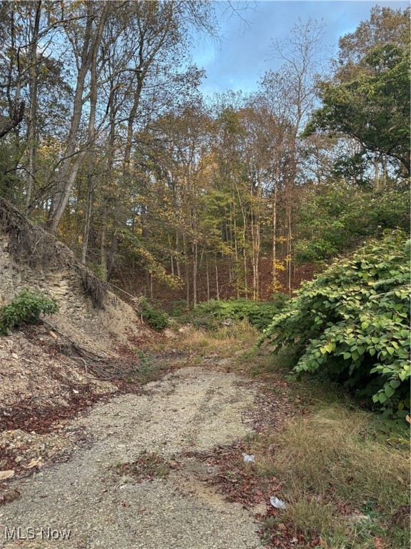 Amsterdam, Ohio 43903, United States, ,Land,Active,227654