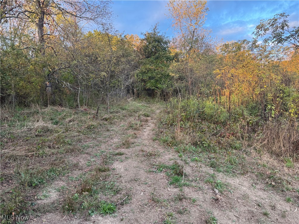 Amsterdam, Ohio 43903, United States, ,Land,Active,227654