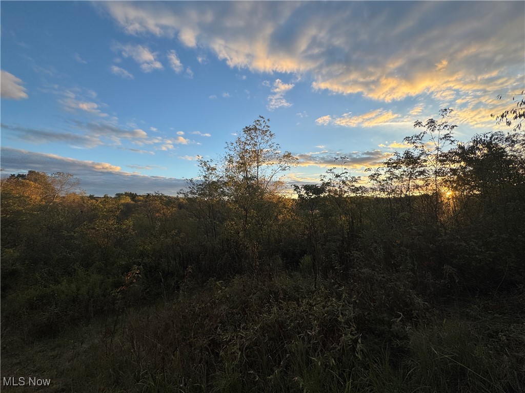 Amsterdam, Ohio 43903, United States, ,Land,Active,227654