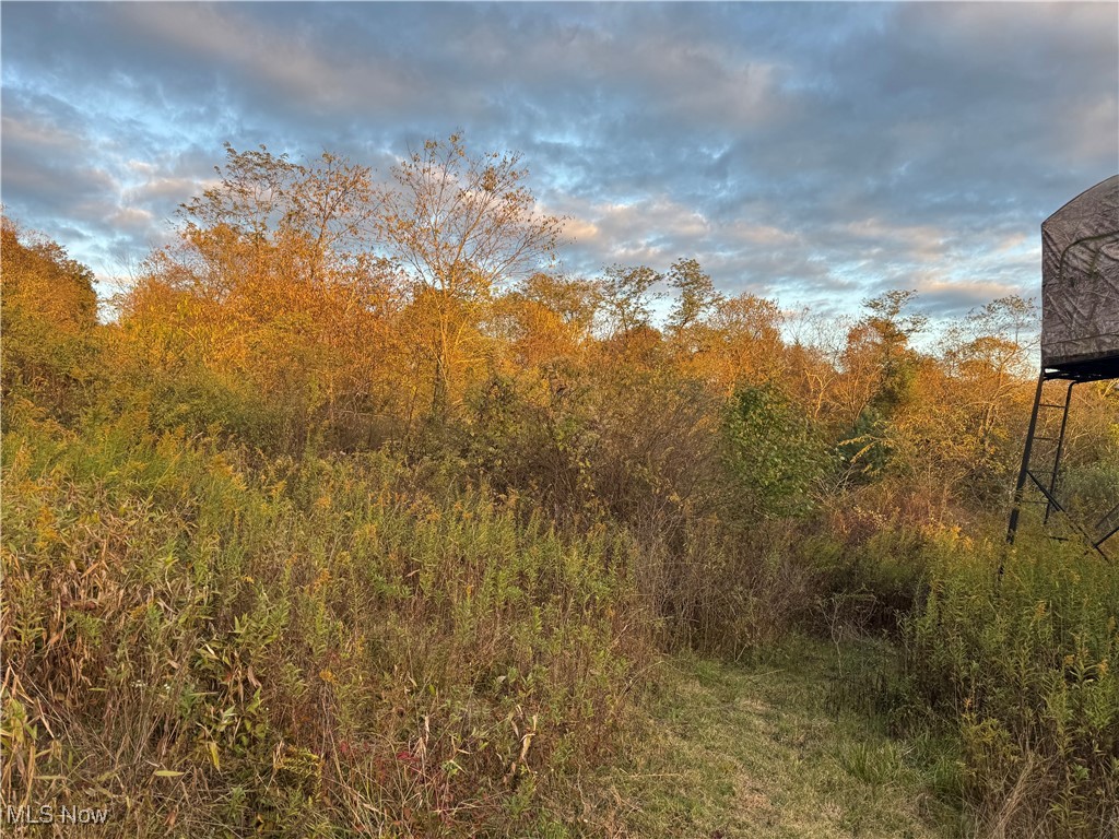 Amsterdam, Ohio 43903, United States, ,Land,Active,227654