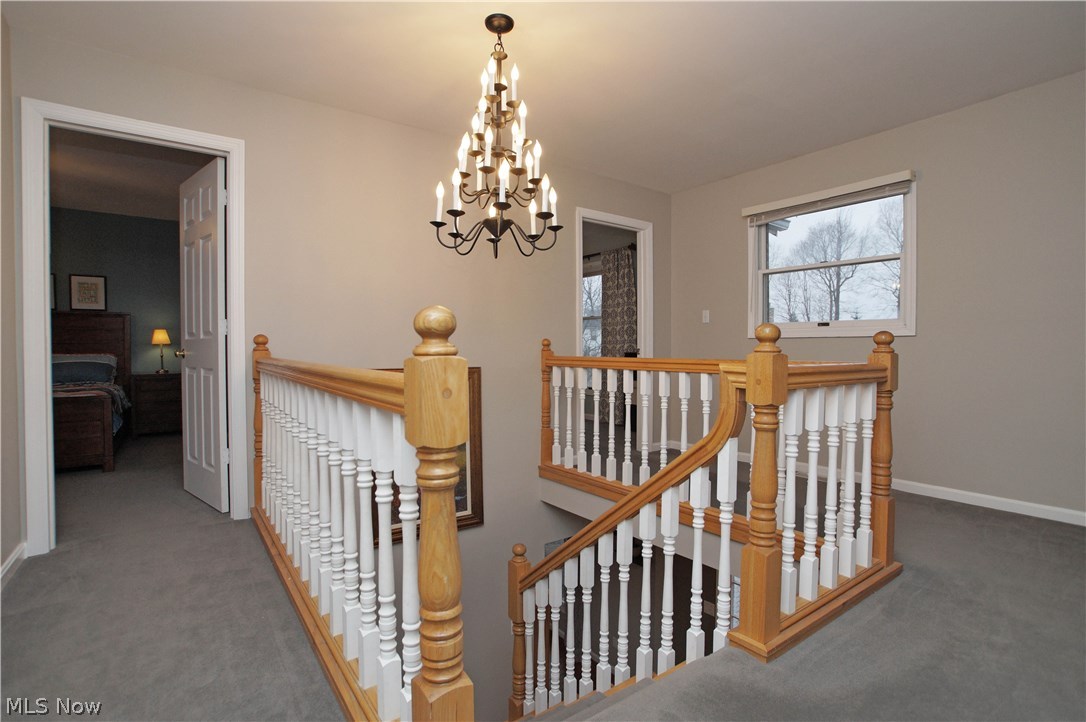 Camden Knolls Allotment - Residential