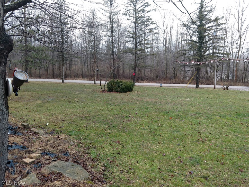 Lake Buckhorn - Residential