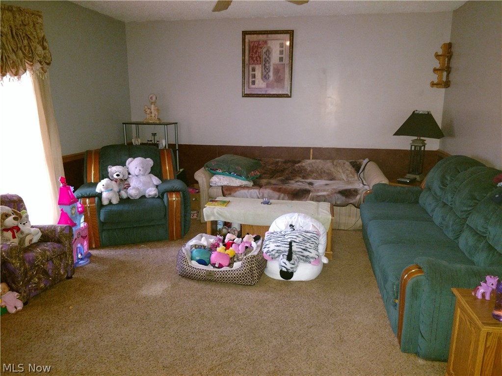 Lake Buckhorn - Residential