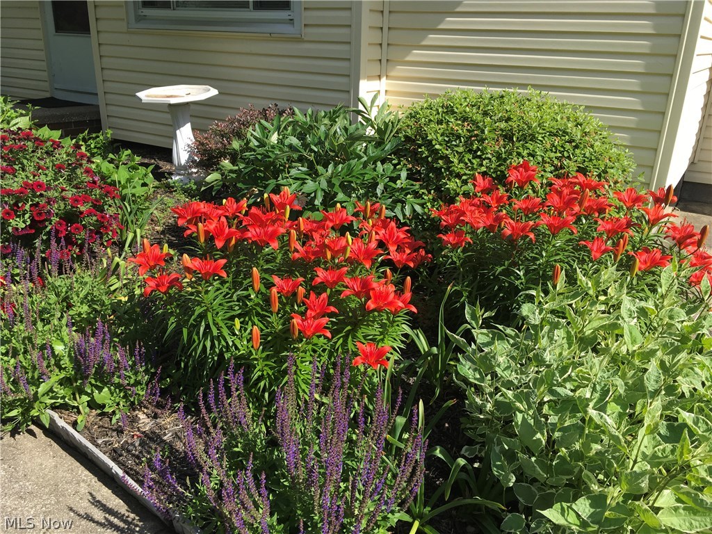 Prentice-Reynolds - Residential