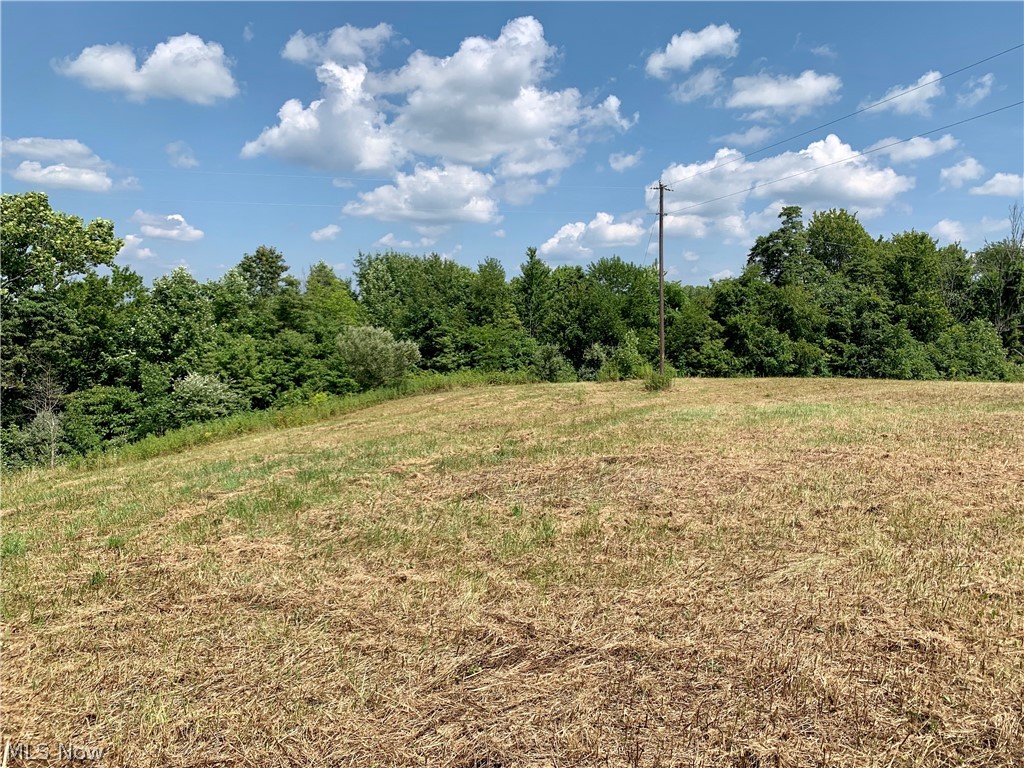 If you are looking for a place to hunt, farm or even build your dream home, look no further! Approximately 16.4 acres of beautiful land with an abundance of road frontage, located in Morgan county awaits you! Owner states about 60% of it has been cleared. Taxes and parcel number to be established. Survey has been completed. All mineral rights will convey! There are old logging trails or paths that could be rediscovered for riding or walking! Additional land is available for purchase also! Please do not access land without an agent present and with permission too.