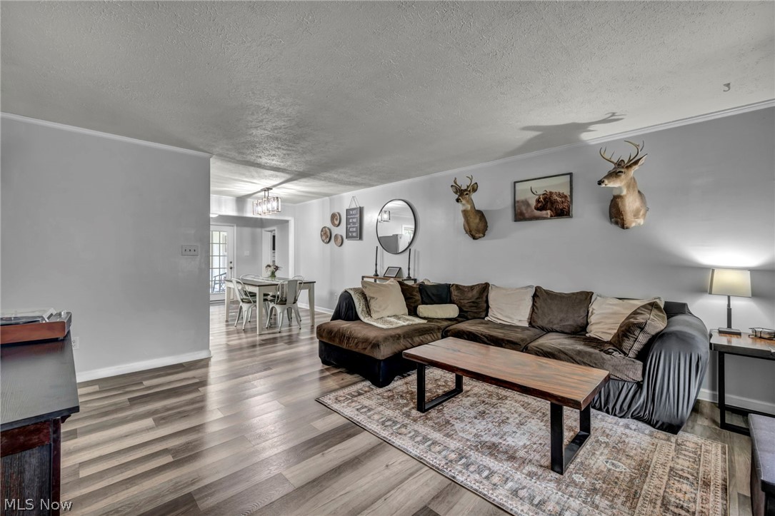 3665 Elmhurst Court