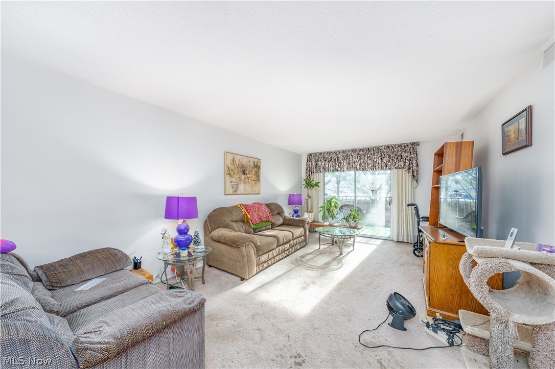 Olmsted Park Condo - Residential