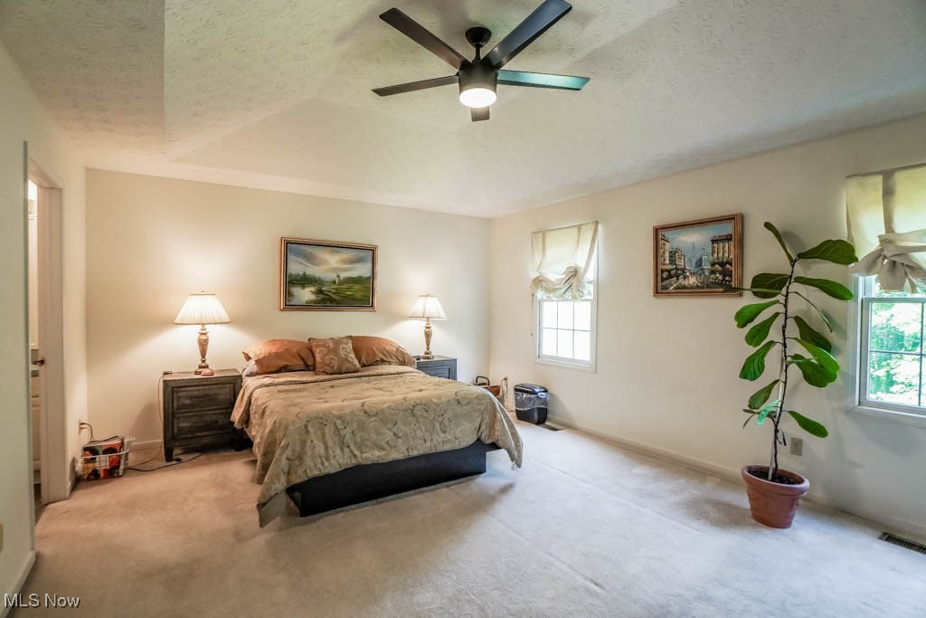 6202 Rockside Circle, Canton, Ohio image 22