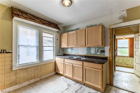 Tiny photo for 16007 Huntmere Avenue, Cleveland, OH 44110 (MLS # 5203487)