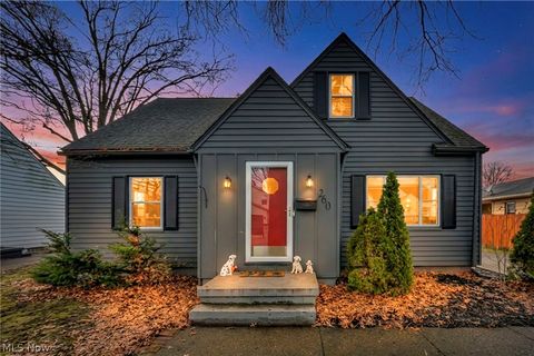 Photo of 260 Prairie Drive, Akron, OH 44312 (MLS # 5188116)