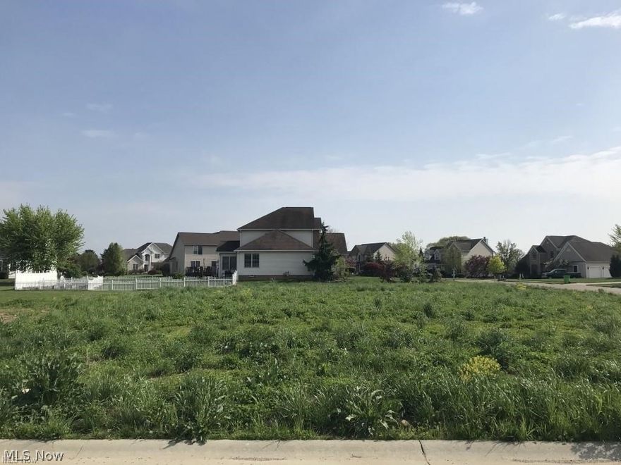 Last building lot in the desirable Heritage Glen development. This 0.34-acre corner lot is located in Lake School District. Featuring city utilities, sidewalks, and street lights. Situated near historic Hartville but offering close access to Interstate 77, this location is convenient to Canton, Akron, and other nearby cities.