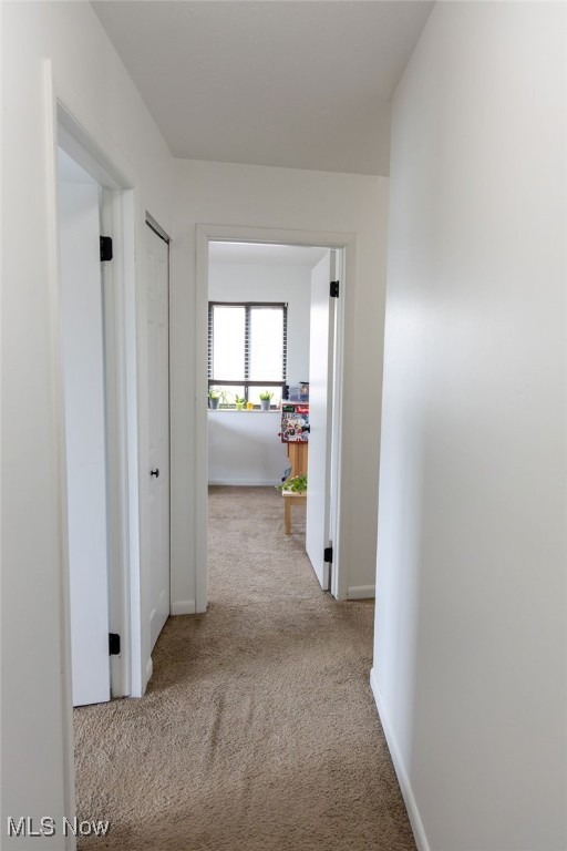 Ridgeglen Place Condo - Residential