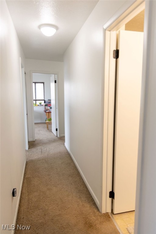 Ridgeglen Place Condo - Residential