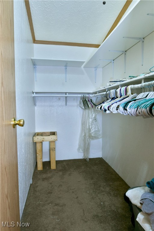 City Newton Falls 2nd Div - Residential