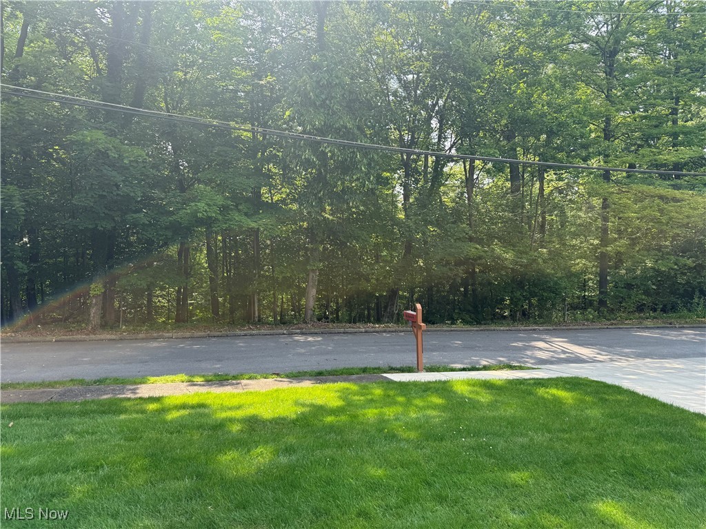 2425 Inglenook Place Pl, Youngstown, Ohio image 21